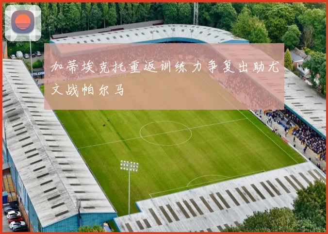 加蒂埃克托重返训练力争复出助尤文战帕尔马