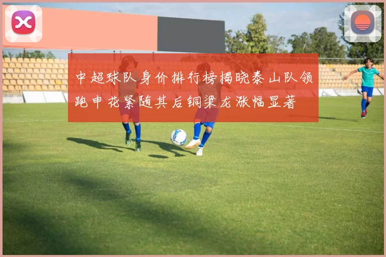 中超球队身价排行榜揭晓泰山队领跑申花紧随其后铜梁龙涨幅显著